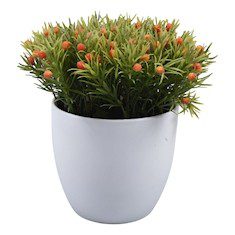 PLANTA ARTIFICIAL BLANCO DE 15 X 10 CM