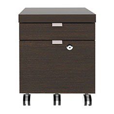 ARCHIVERO CON RUEDAS Y 2 CAJONES 52.5 X 39.3 X 39C