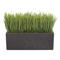 PLANTA DECORATIVA PASTO CONTINUO ARTIFICIAL 19 X 24 CM