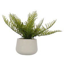 PLANTA DELUXE GRANDE