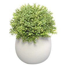 PLANTA DECORATIVA ARTIFICIAL BLANCO 17 X 13.5 CM